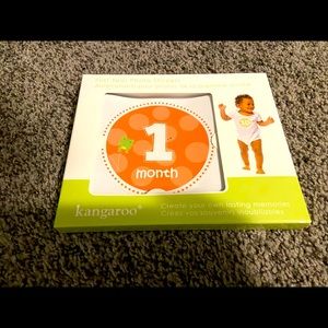 Babies First Year Photo Stickers